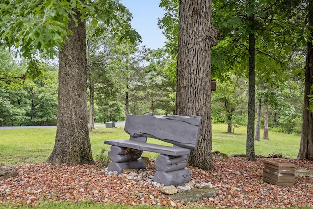 185 Appaloosa Trl, Saddlebrooke, MO 65630 - view of home's community with a lawn