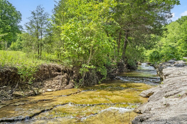 185 Appaloosa Trl, Saddlebrooke, MO 65630 - view of yard featuring a view of trees