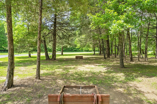 185 Appaloosa Trl, Saddlebrooke, MO 65630 - view of yard