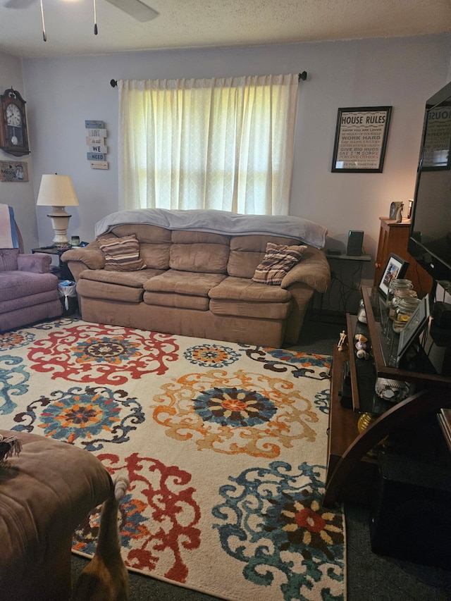 1006 E 5th St, Mountain View, MO 65548 - photo 4