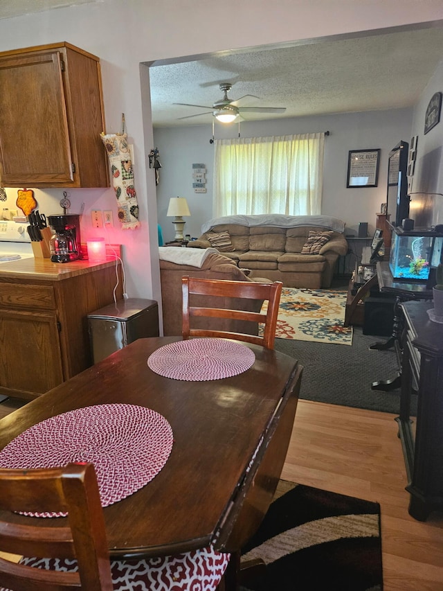 1006 E 5th St, Mountain View, MO 65548 - photo 10