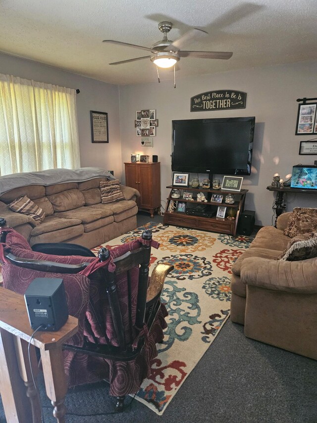 1006 E 5th St, Mountain View, MO 65548 - photo 5