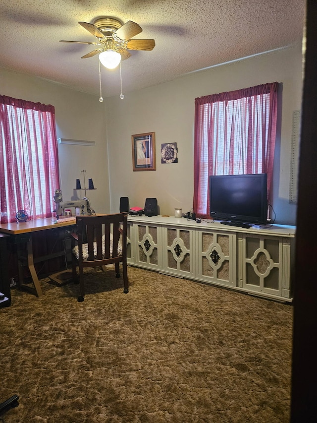 1006 E 5th St, Mountain View, MO 65548 - photo 12