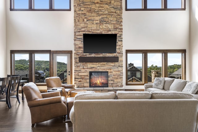 living area featuring a high ceiling, a stone fireplace, wood finished floors, and plenty of natural light
