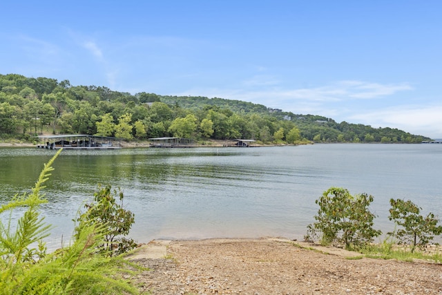 water view featuring a heavily wooded area