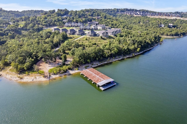 aerial view of property's location with a forest and a large body of water
