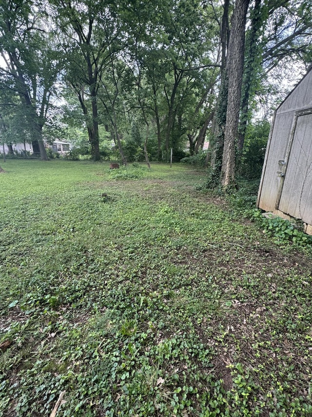 202 E Seminole St, Springfield, MO 65807 - view of yard