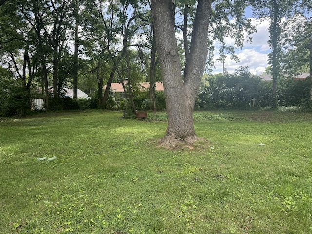 202 E Seminole St, Springfield, MO 65807 - view of green lawn