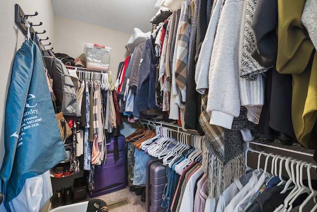 1206 S Solaira St, Ozark, MO 65721 - spacious closet featuring carpet floors