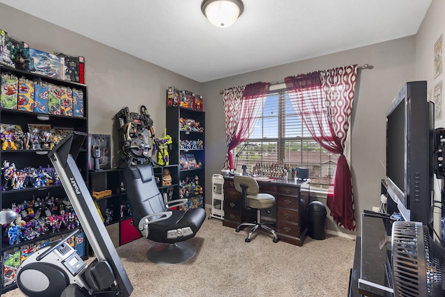 1206 S Solaira St, Ozark, MO 65721 - office space with carpet