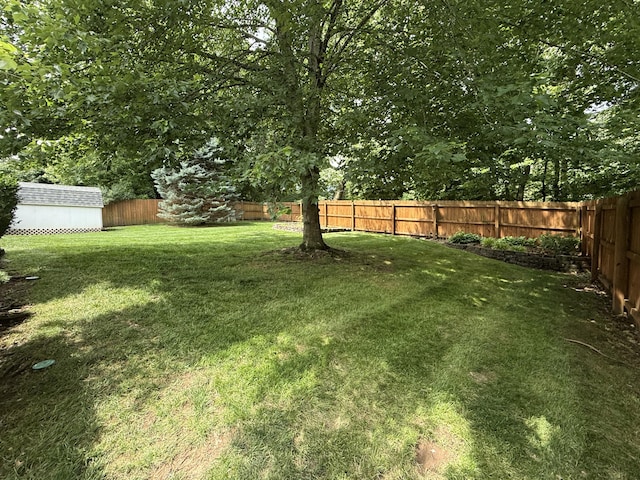 5135 S Clay Ave, Springfield, MO 65810 - view of yard