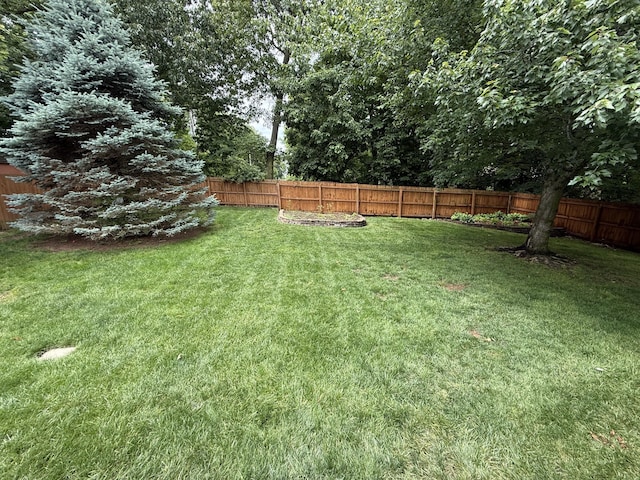 5135 S Clay Ave, Springfield, MO 65810 - view of yard
