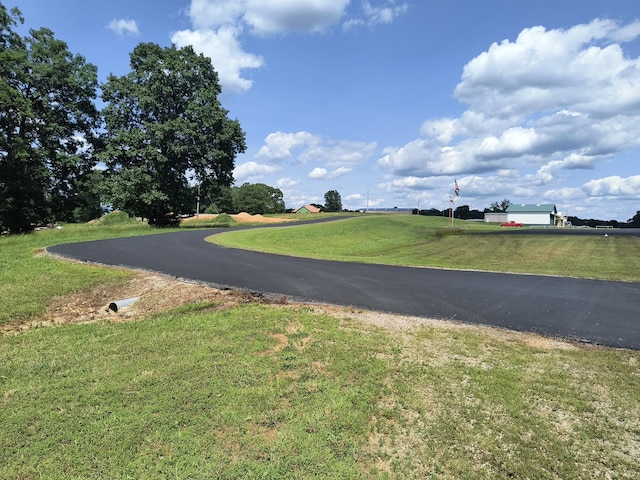 000 Eagle Wing Dr, Theodosia, MO 65761 - photo 2