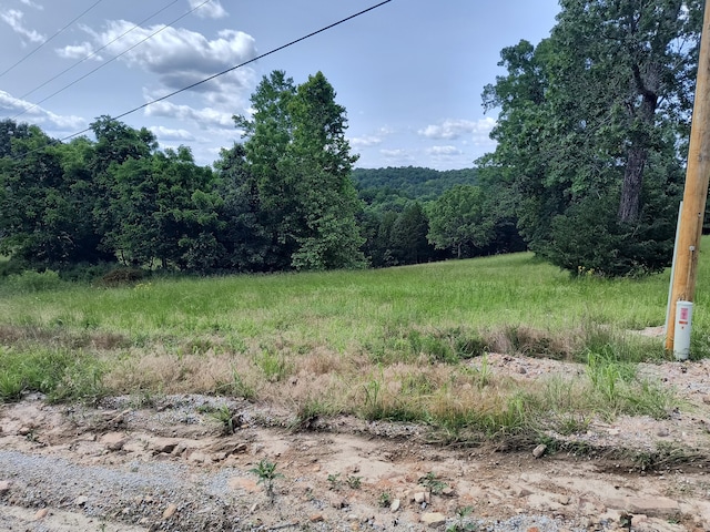 000 Eagle Wing Dr, Theodosia, MO 65761 - photo 10