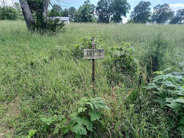 000 Eagle Wing Dr, Theodosia, MO 65761 - photo 8