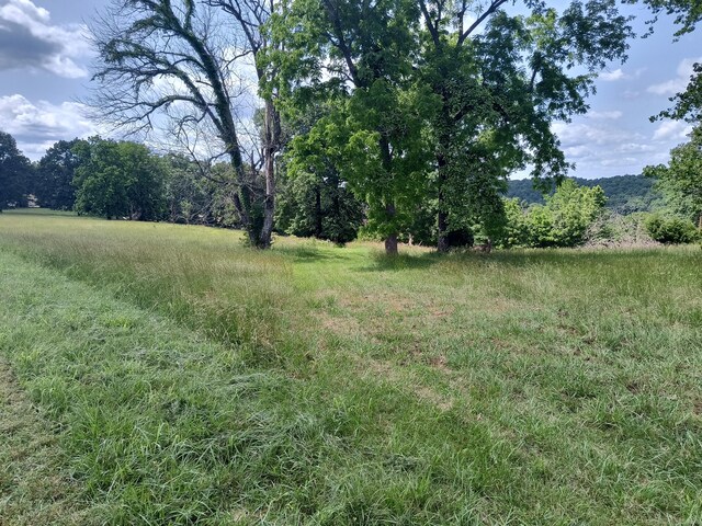 000 Eagle Wing Dr, Theodosia, MO 65761 - photo 3