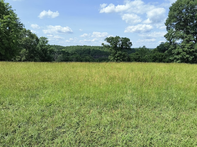 000 Eagle Wing Dr, Theodosia, MO 65761 - photo 5