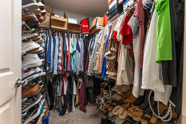 1054 Thoroughfare St, Seymour, MO 65746 - spacious closet with carpet floors