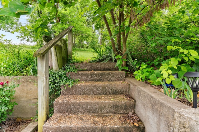 1408 Rockhill Cir, Ozark, MO 65721 - view of stairs