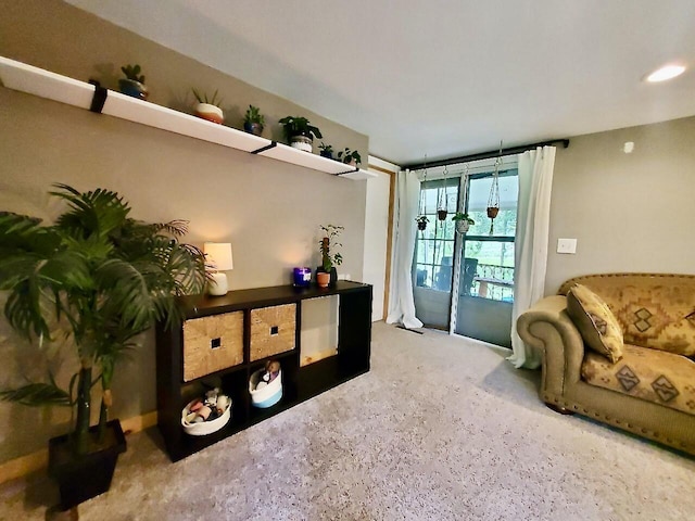 1010 Pine St, Cabool, MO 65689 - view of living area