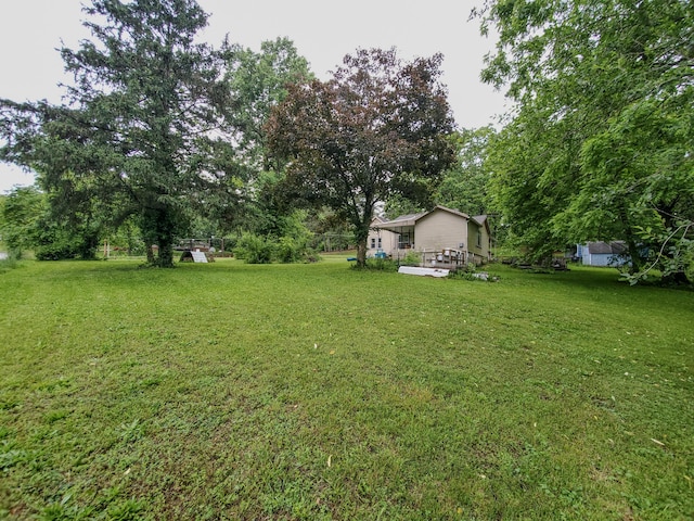 1010 Pine St, Cabool, MO 65689 - view of green lawn