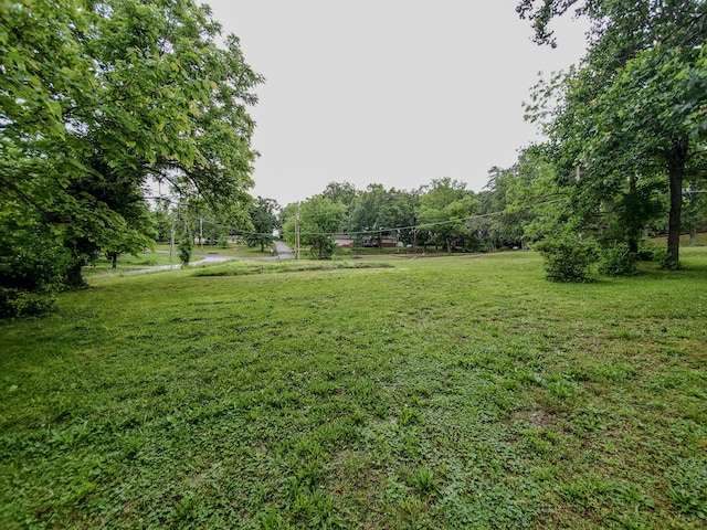 1010 Pine St, Cabool, MO 65689 - view of green lawn
