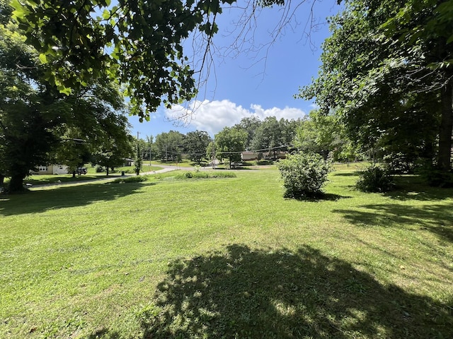 1010 Pine St, Cabool, MO 65689 - view of green lawn