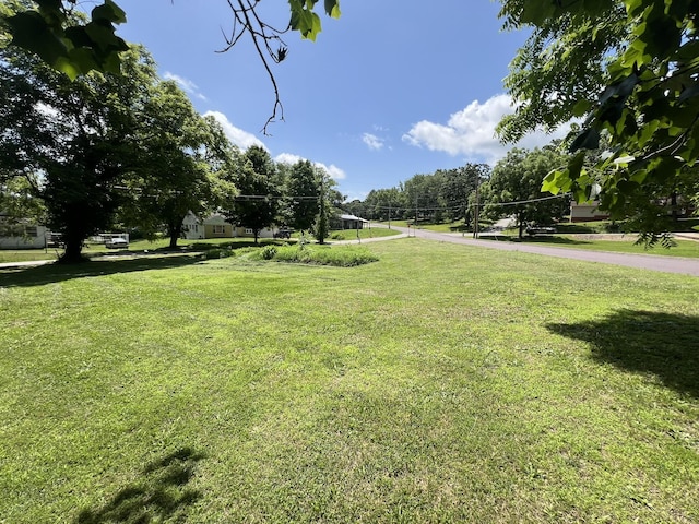 1010 Pine St, Cabool, MO 65689 - view of green lawn