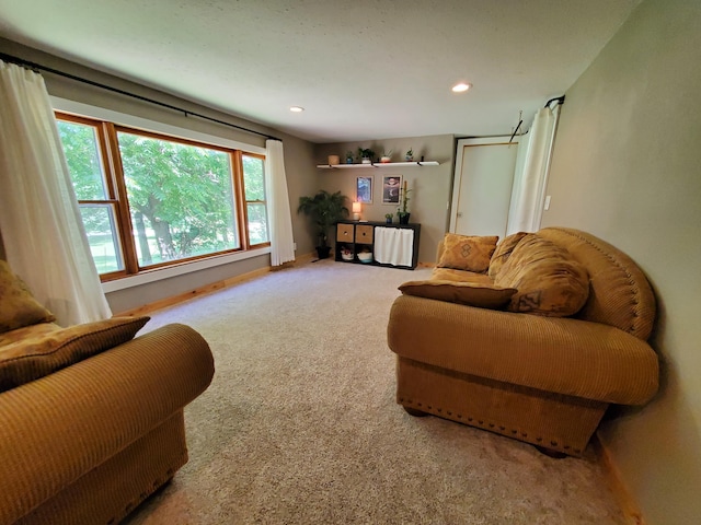 1010 Pine St, Cabool, MO 65689 - carpeted living room with baseboards and recessed lighting