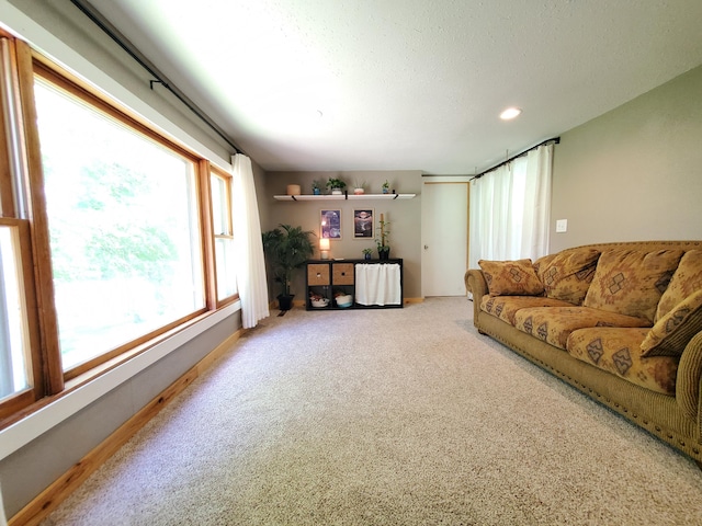 1010 Pine St, Cabool, MO 65689 - carpeted living room featuring recessed lighting and a textured ceiling