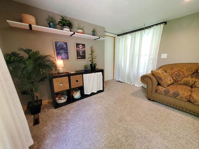 1010 Pine St, Cabool, MO 65689 - living room with carpet floors