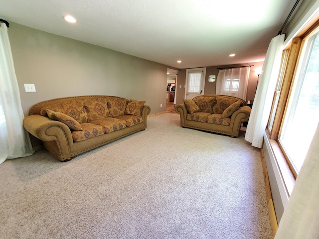 1010 Pine St, Cabool, MO 65689 - living room with carpet and recessed lighting