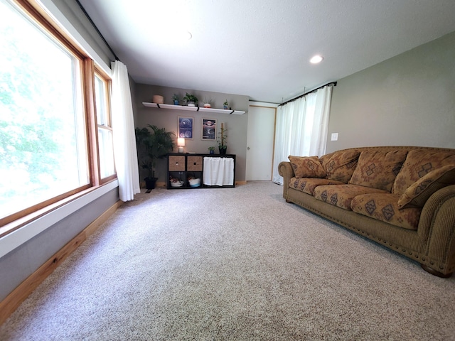 1010 Pine St, Cabool, MO 65689 - living area featuring carpet and recessed lighting
