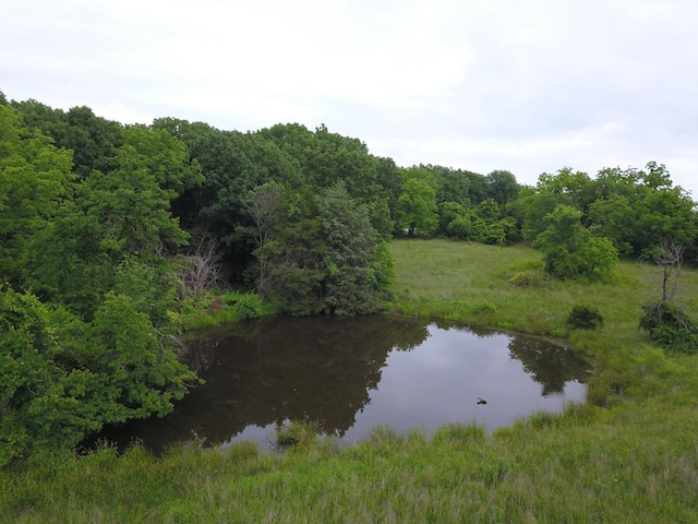 19020 S 245th Hwy, Fair Play, MO 65649 - photo 8