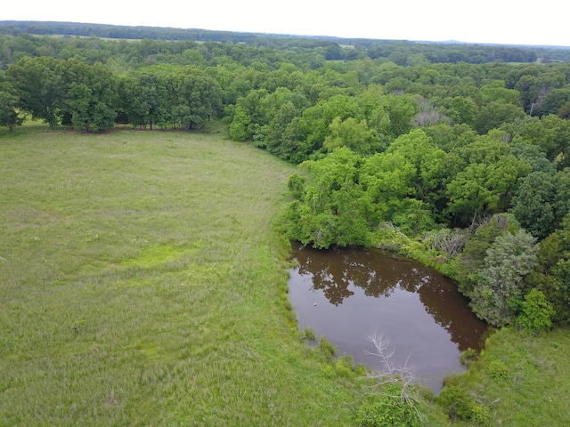 19020 S 245th Hwy, Fair Play, MO 65649 - photo 9
