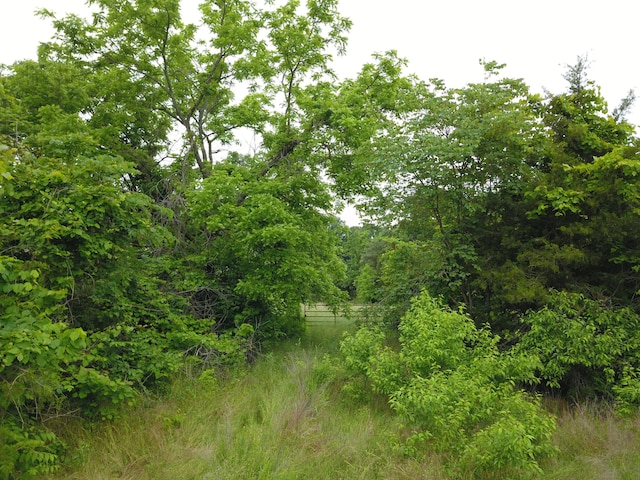 19020 S 245th Hwy, Fair Play, MO 65649 - photo 6