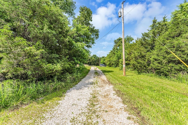 1939 E 540th Rd, Pleasant Hope, MO 65725 - view of dirt / gravel road