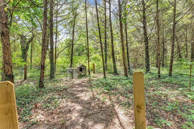 1939 E 540th Rd, Pleasant Hope, MO 65725 - view of tree filled area