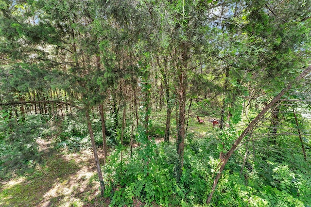 1939 E 540th Rd, Pleasant Hope, MO 65725 - view of tree filled area