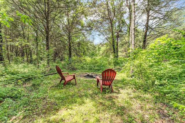 1939 E 540th Rd, Pleasant Hope, MO 65725 - view of yard with a view of trees