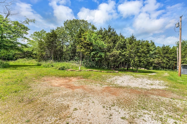 1939 E 540th Rd, Pleasant Hope, MO 65725 - view of yard featuring a forest view