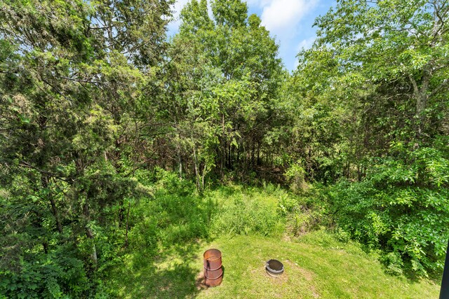 1939 E 540th Rd, Pleasant Hope, MO 65725 - view of yard with a wooded view