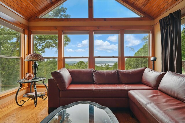 1041 Skyview Dr, Branson, MO 65616 - living area with wood ceiling, wood finished floors, and high vaulted ceiling
