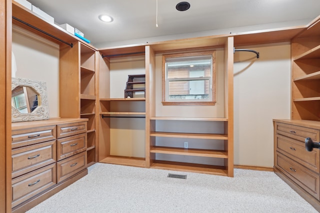 1041 Skyview Dr, Branson, MO 65616 - spacious closet featuring light colored carpet