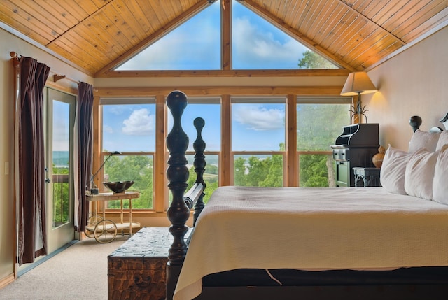 1041 Skyview Dr, Branson, MO 65616 - bedroom with wooden ceiling, carpet flooring, lofted ceiling, multiple windows, and access to outside