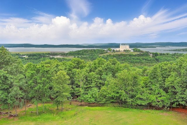 1041 Skyview Dr, Branson, MO 65616 - water view