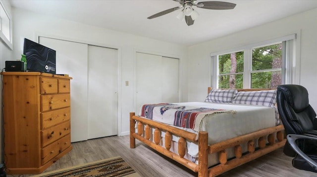53 County Road 803a, Gainesville, MO 65655 - bedroom featuring two closets, wood finished floors, and ceiling fan