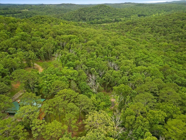 53 County Road 803a, Gainesville, MO 65655 - aerial overview of property's location featuring a forest