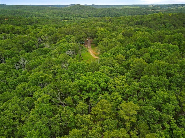 53 County Road 803a, Gainesville, MO 65655 - drone / aerial view of a forest