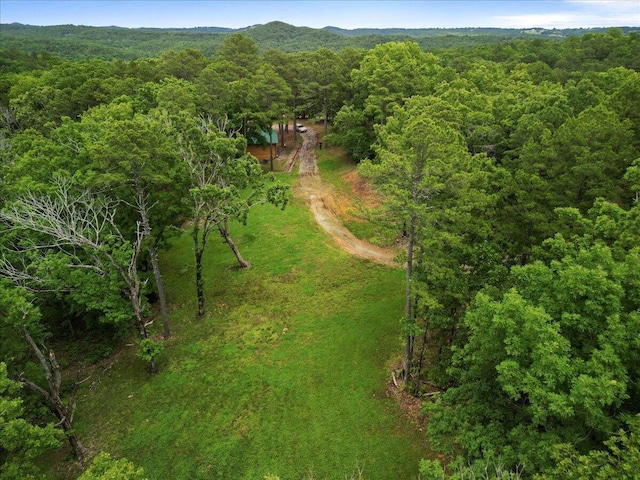 53 County Road 803a, Gainesville, MO 65655 - bird's eye view of a heavily wooded area
